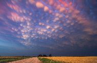 イギリスの『デイリー・メール』の11月20日の報道によると、嵐を追う米ネブラスカ州出身のマイク・ホリンシェッドさんは、目を疑うような「雲の泡」の写真を撮影した。この雲は「乳房雲」と呼ばれ、雷を伴う嵐の後に現れる珍しい現象である。