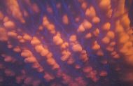 美国上空惊现罕见“乳房云”
