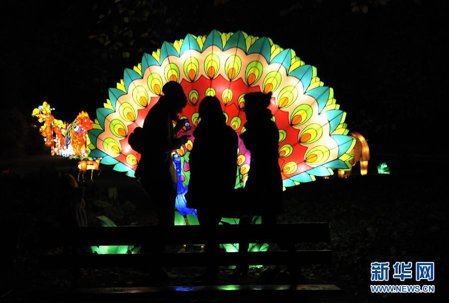 比利时'中国灯之动物园'花灯展 中国花灯首次展出