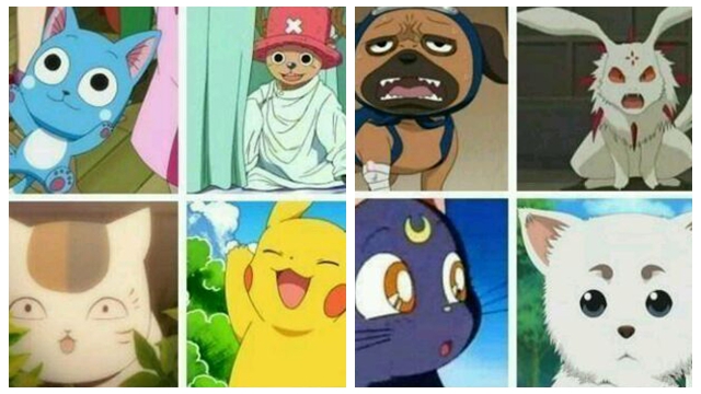 日本人がペットにしたいアニメの動物キャラクターtop 中国網 日本語