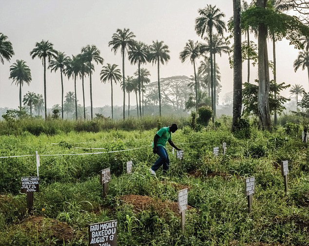 2015年ピューリッツァー賞を受賞した優秀作_中国網_日本語
