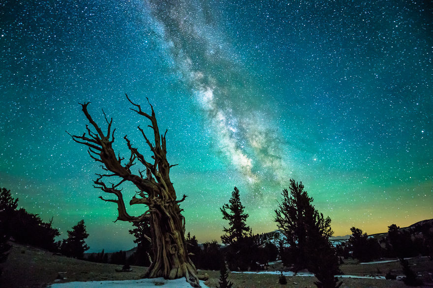 夜幕下的璀璨星空