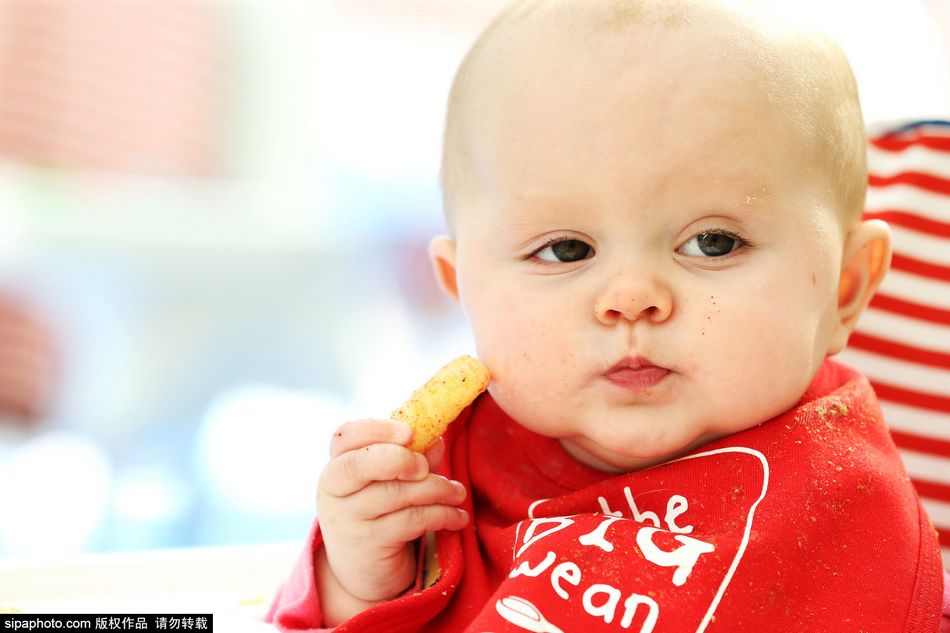 イギリスで世界最大規模の離乳儀式 かわいい赤ちゃんが集合 中国網 日本語