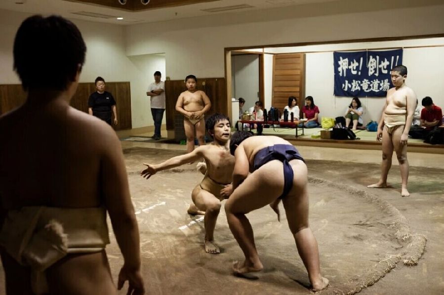 日本相扑俱乐部渴求下一代