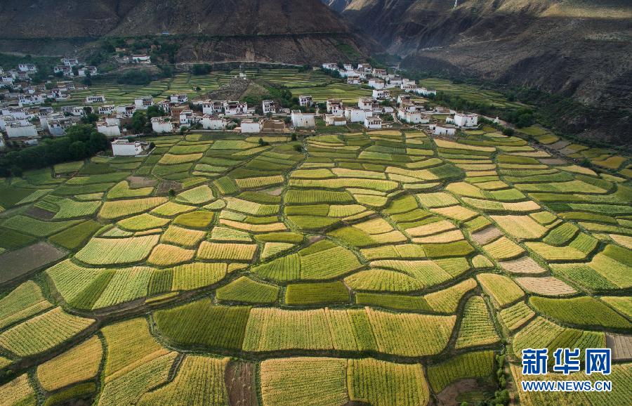 CHINA-SICHUAN-XIANGCHENG-COUNTRYSIDE SCENERY (CN)