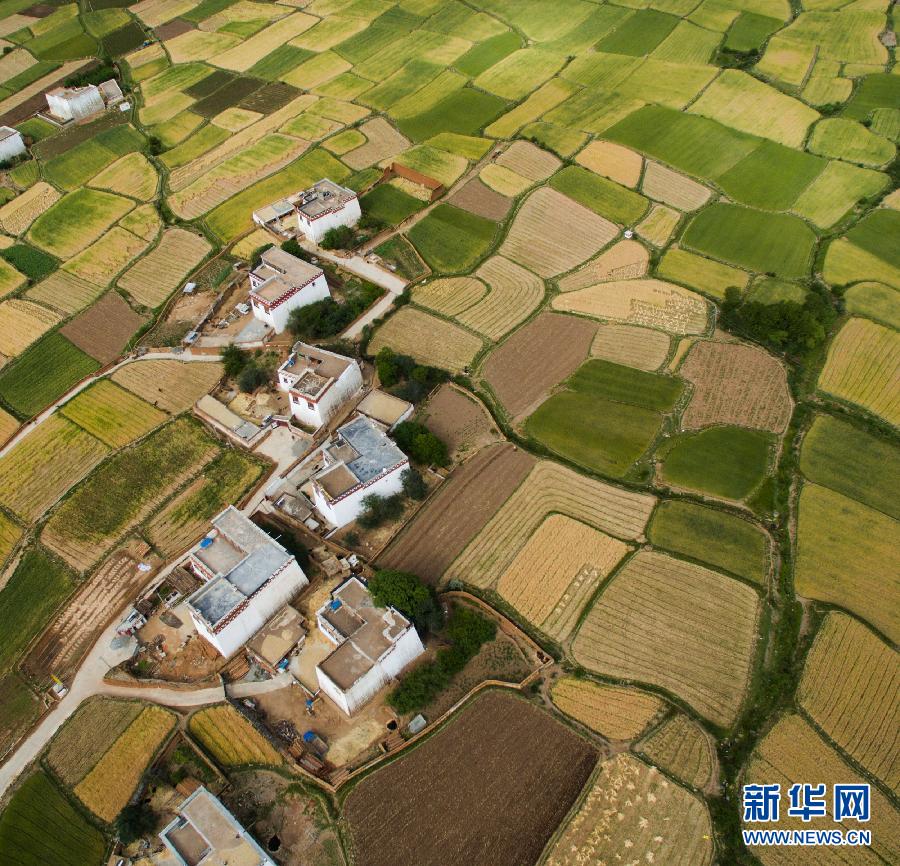 CHINA-SICHUAN-XIANGCHENG-COUNTRYSIDE SCENERY (CN)