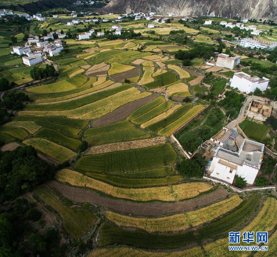 CHINA-SICHUAN-XIANGCHENG-COUNTRYSIDE SCENERY (CN)