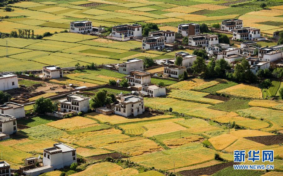 CHINA-SICHUAN-XIANGCHENG-COUNTRYSIDE SCENERY (CN)