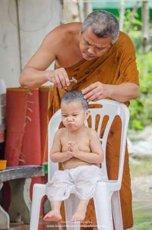 タイの小僧さんが人気、ネットユーザーを癒やす