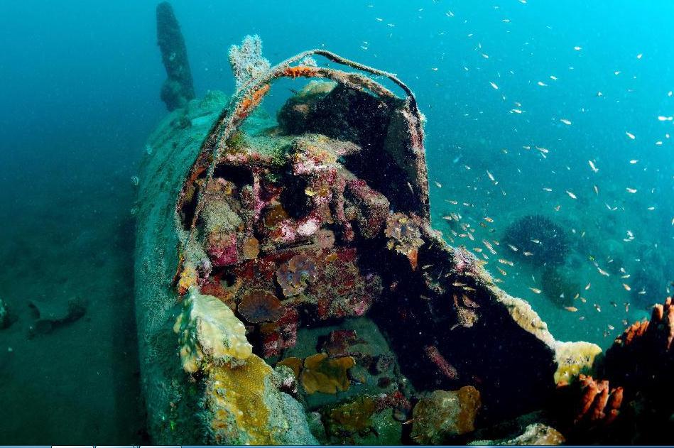 海底に沈没した日本の「ゼロ戦」、最新の写真が公開