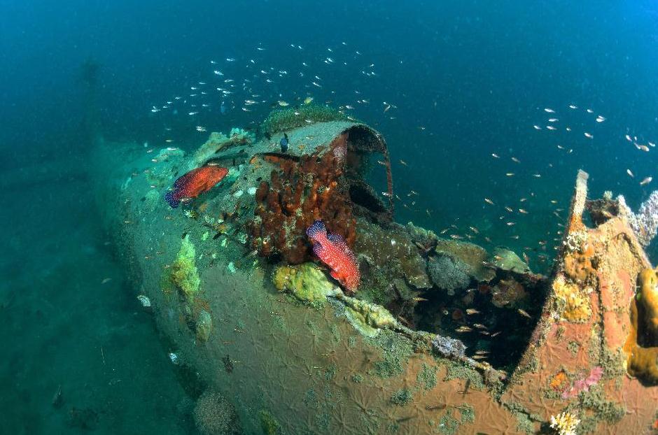 海底に沈没した日本の「ゼロ戦」、最新の写真が公開