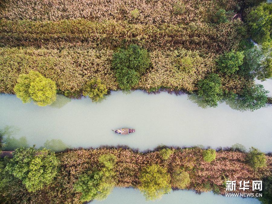 （美麗中國）（1）西溪濕地開啟“五彩秋色圖”