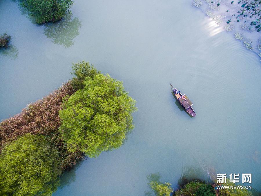 （美麗中國）（3）西溪濕地開啟“五彩秋色圖”