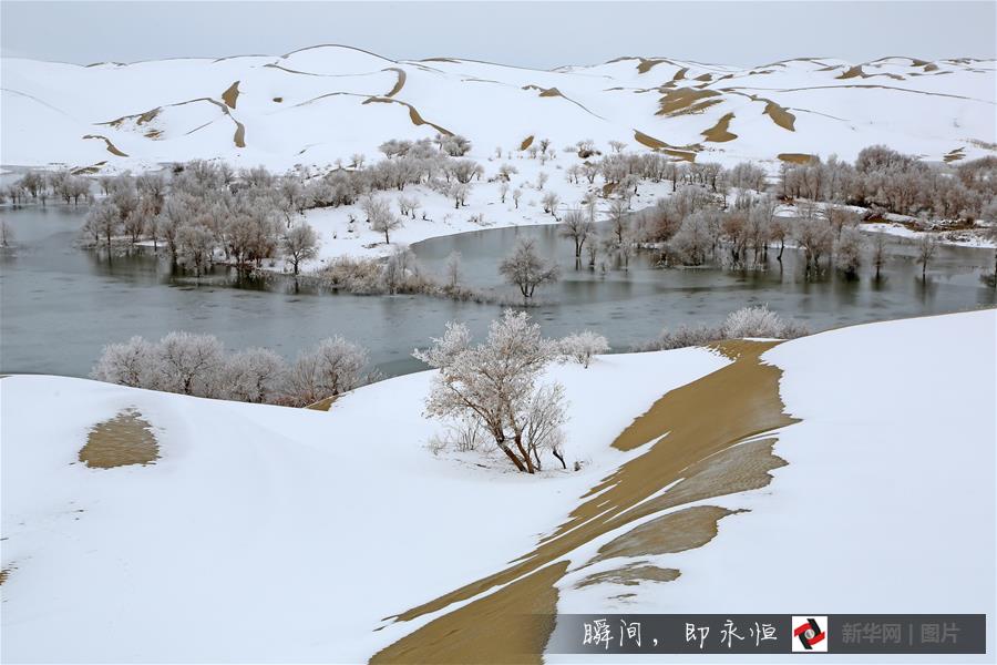 #（生态）（5）带你到塔克拉玛干沙漠去看雪