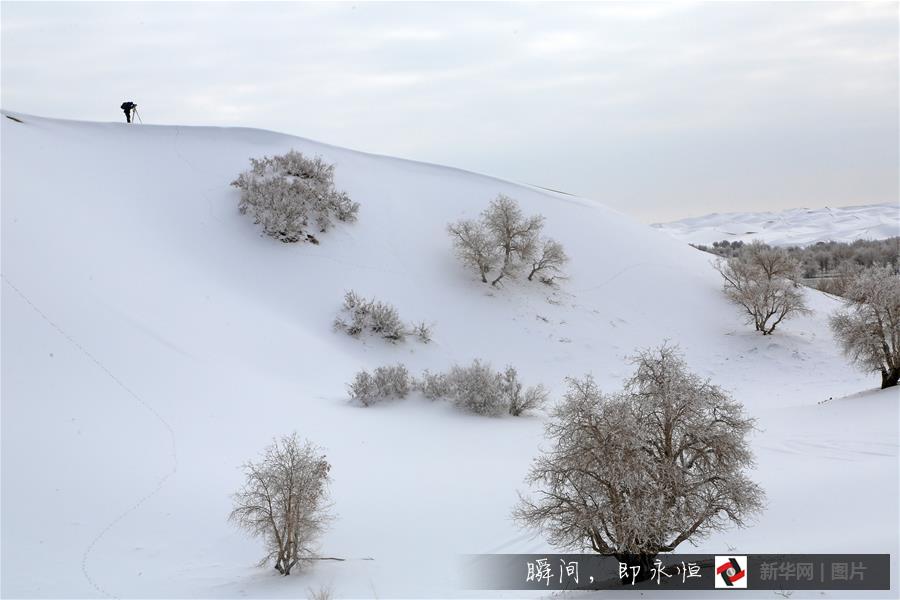 #（生态）（4）带你到塔克拉玛干沙漠去看雪