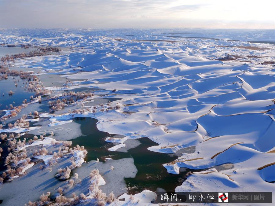 #（生态）（10）带你到塔克拉玛干沙漠去看雪