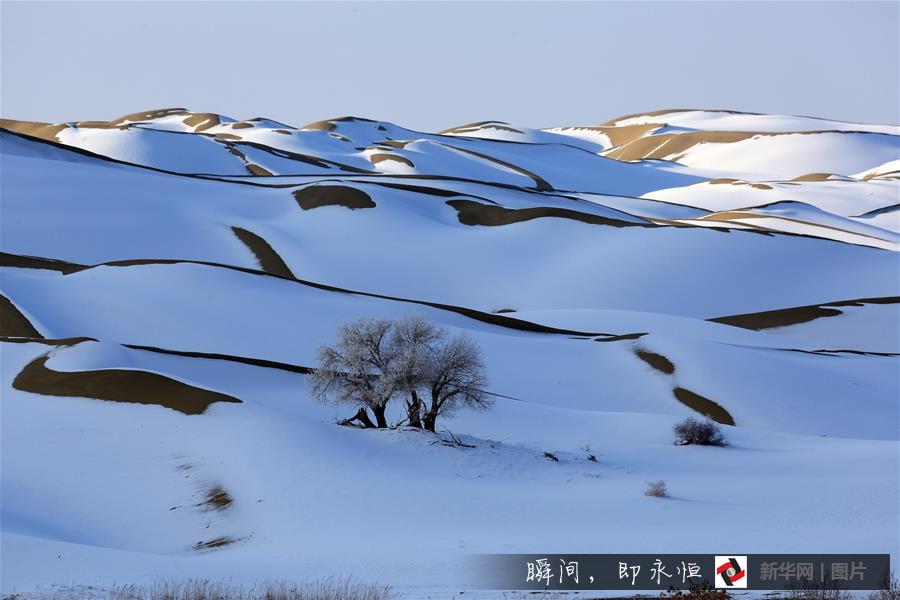 #（生态）（9）带你到塔克拉玛干沙漠去看雪