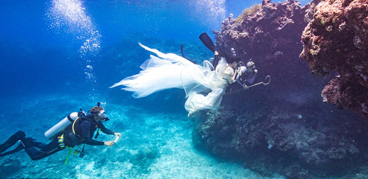 加摄影师水下拍摄美女与鲨鱼和谐共舞
