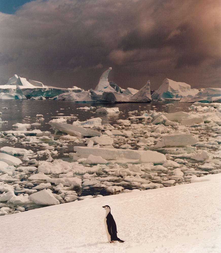 遗世独立：发现南极之美