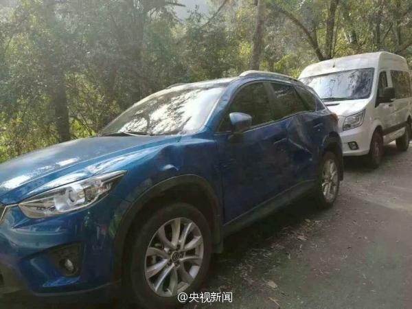 云南西双版纳野象损坏路边14辆汽车