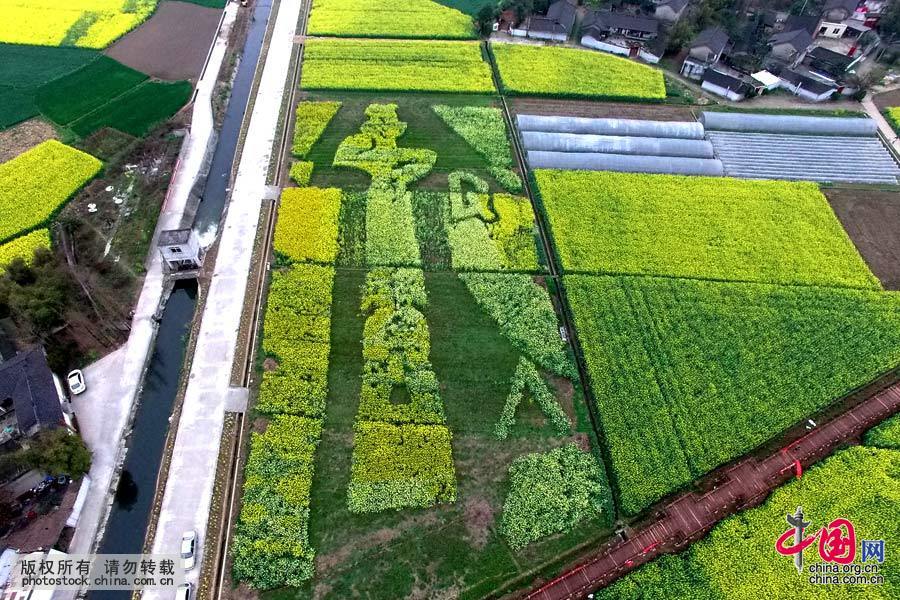 3月12日，在四川省广汉市西高镇用无人机航拍的“种植”于油菜花田中的“机器猫”等萌图。中国网图片库 邱海鹰 摄