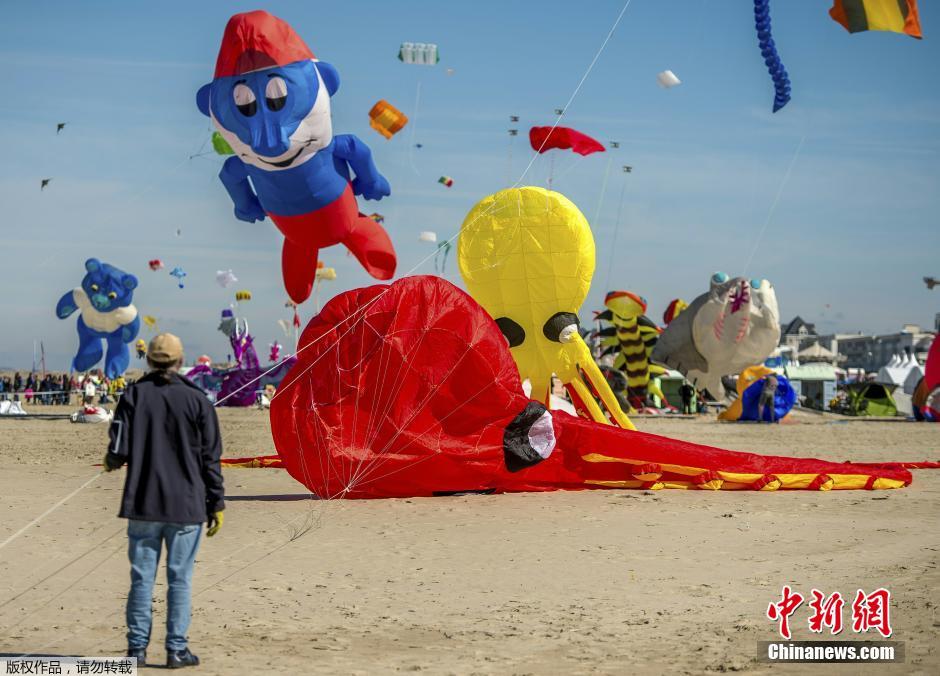 仏で凧揚げ大会開催 デザインの勝負 中国網 日本語