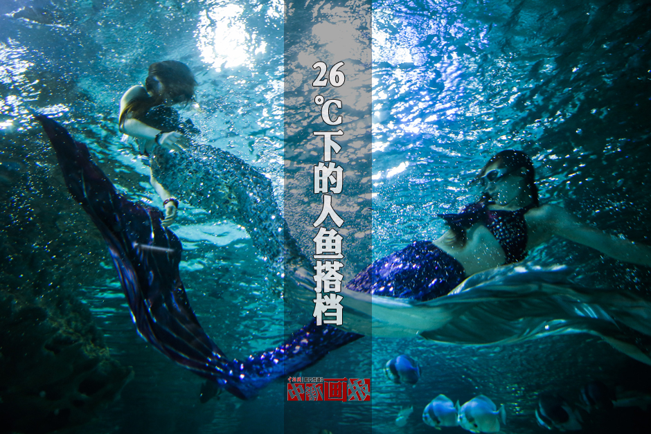 水族館の人魚姫 舞台裏に迫る 中国網 日本語