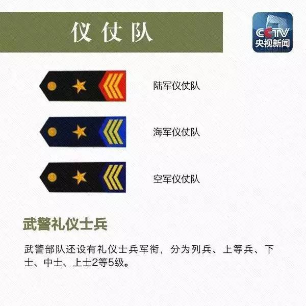 図で見る解放軍の役職 階級の見分け方 中国網 日本語