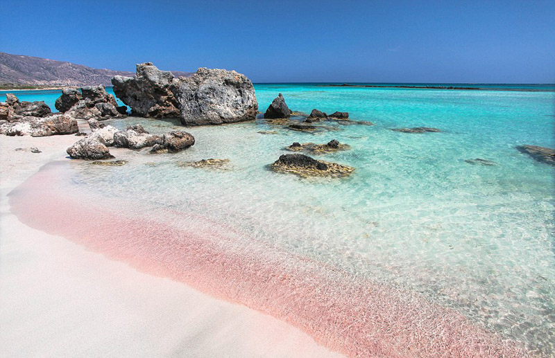 幻想的 バハマの神秘的なピンクサンドビーチ 中国網 日本語