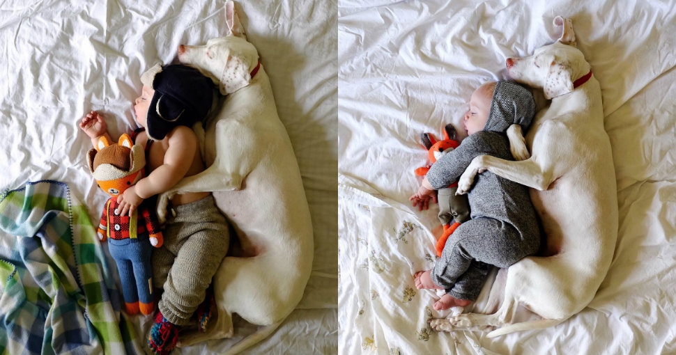 加拿大女摄影师拍儿子与狗狗温馨