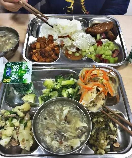 各国の給食、食文化の差を比較