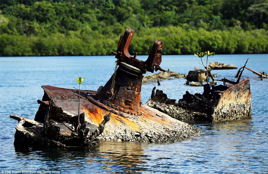 戦争の記憶　太平洋の島に捨てられた第二次世界大戦の武器