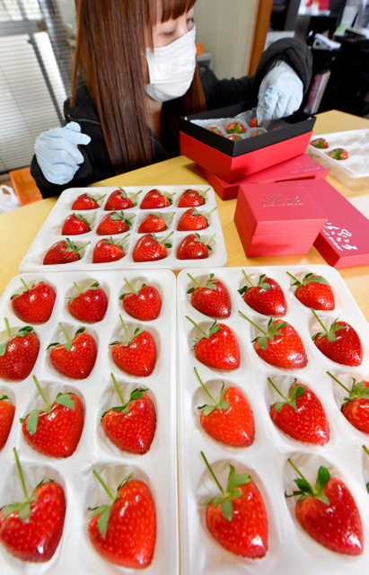 バレンタイン間近 日本でハート型のイチゴが発売_中国網_日本語
