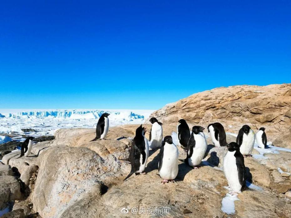 南極の2月、オーロラとペンギン_中国網_日本語