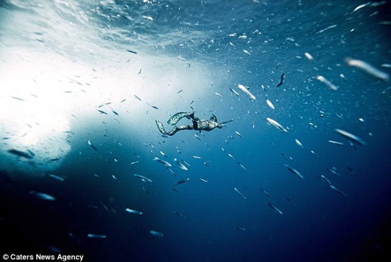 捕鱼人追捕他们的猎物