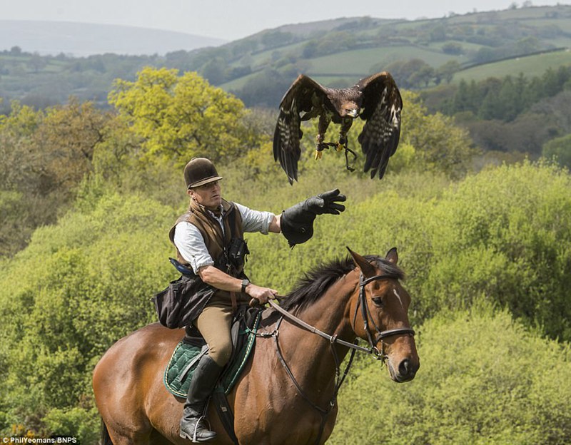 4000年前の狩猟、英国立公園で楽しむ鷹狩