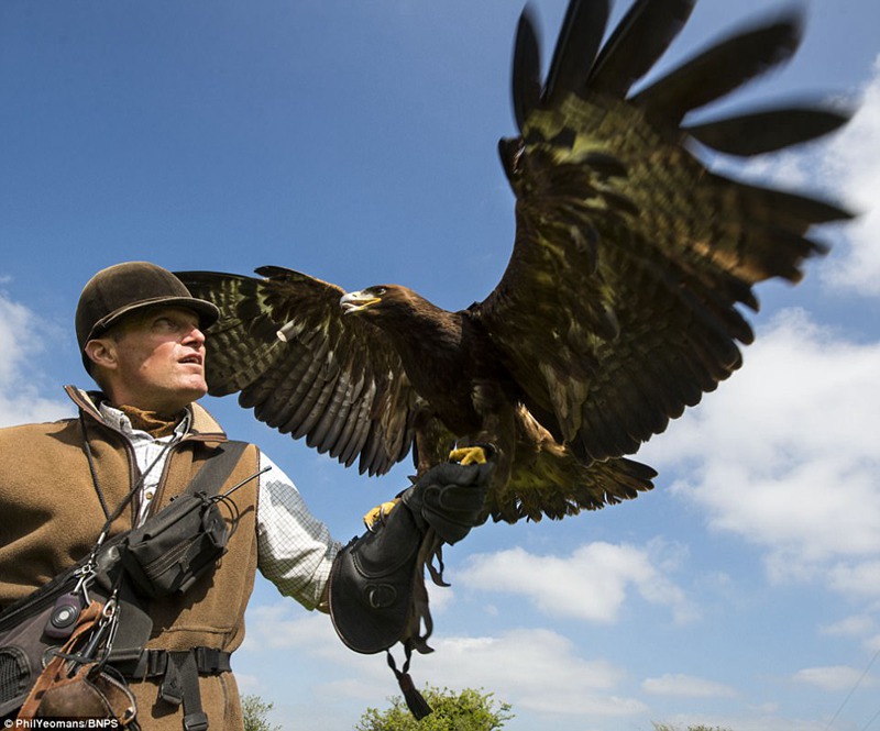 4000年前の狩猟、英国立公園で楽しむ鷹狩