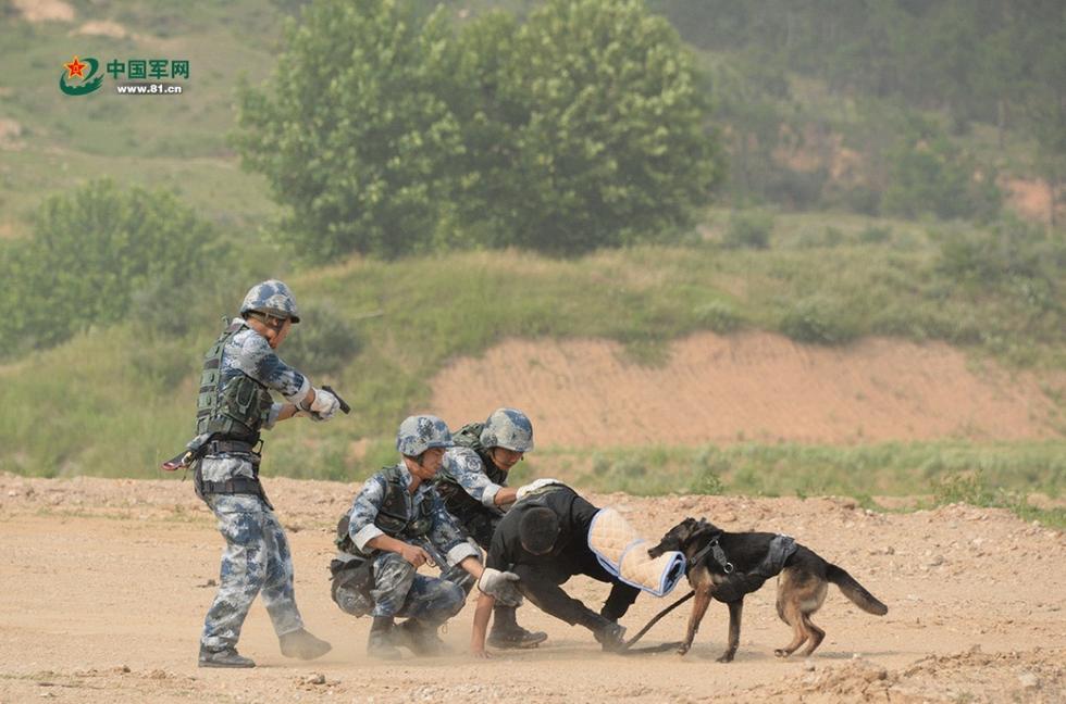 空挺兵のテロ対策訓練、軍犬も参加
