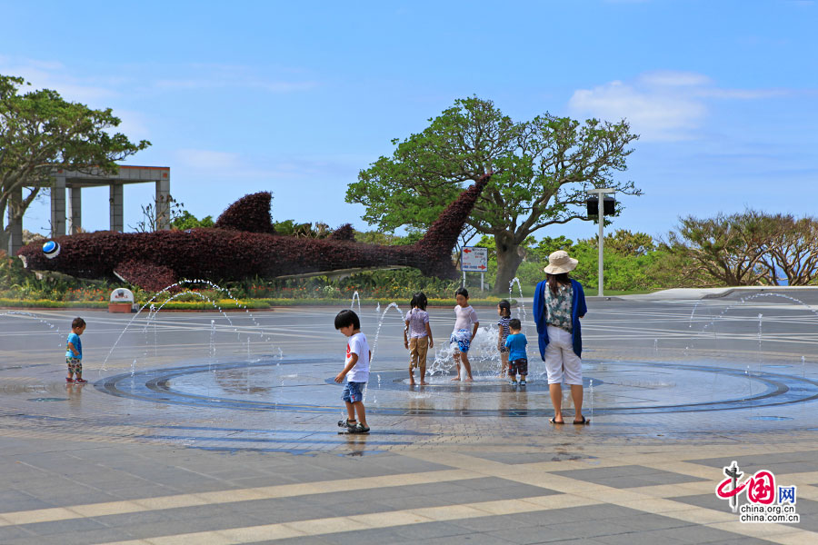 日本物語（四）海洋博公園、日光の下での楽しい時間