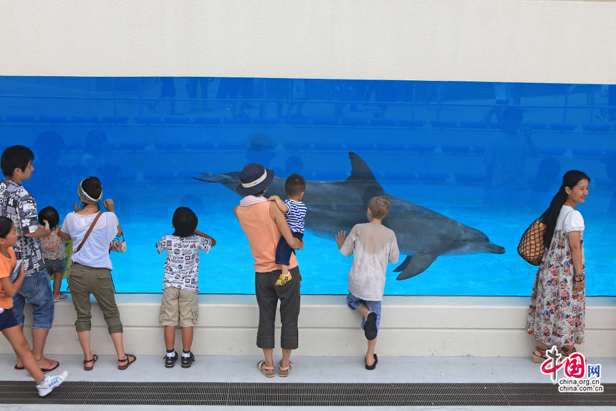 日本物語（四）海洋博公園、日光の下での楽しい時間