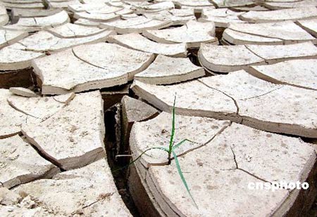 中国年缺水近400亿立方米110座城市严重缺水