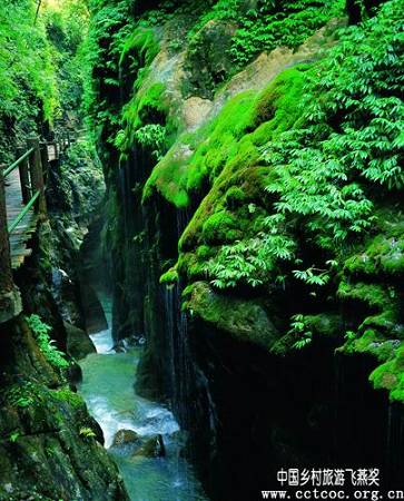 Ущелье Цзиньдао расположено на юго-западном подножии горы Хуаиншань района Бэйбэй города Чунцин. Там 