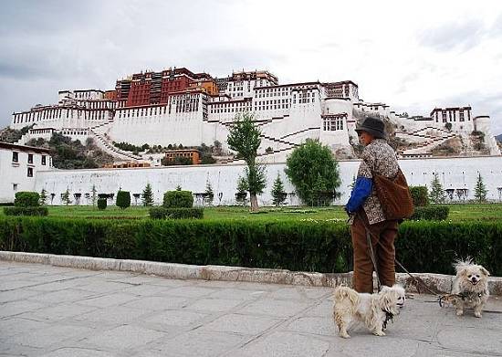 Каждый день в десять часов утра и в четыре часа вечера перед Дворцом Потала в Лхасе можно встретить 40-летнюю Ацюн, которая припадает на колени и живот и вращает цилиндр с сутрами. Тибетский буддизм стал частью ее жизни.