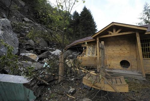 Пять сотрудников Центра по разведению и охране панд в заповеднике «Волун» погибли во время землетрясения, постройки были серьезно разрушены.