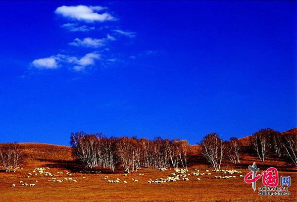 Красивая степь Улан-Бутун 