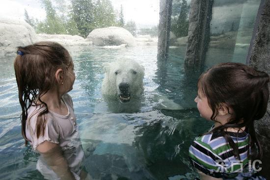 Девочка «трогает» белого медведя.