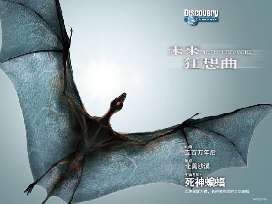 Животные из будущего! 