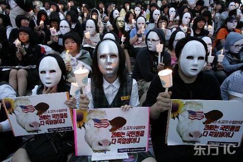 Протест жителей Южной Кореи в отношении импорта говядины из США