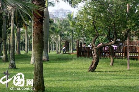 Прекрасный лесопарк Даань в провинции Тайвань