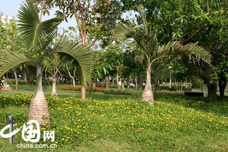 Прекрасный лесопарк Даань в провинции Тайвань